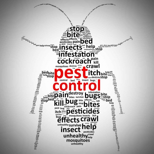 pest control without chemicals